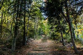 foret écrivains combattants