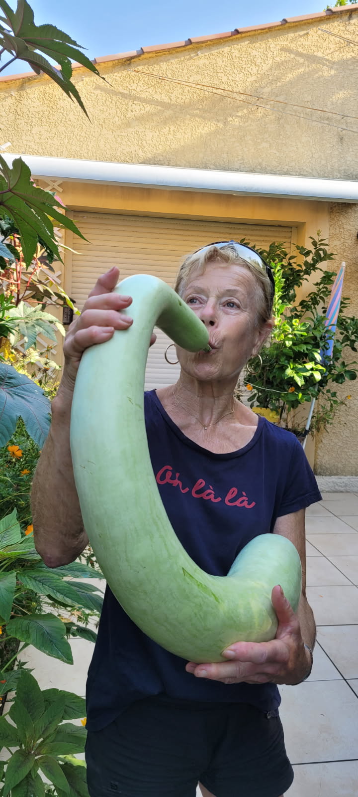 courgette slaoui