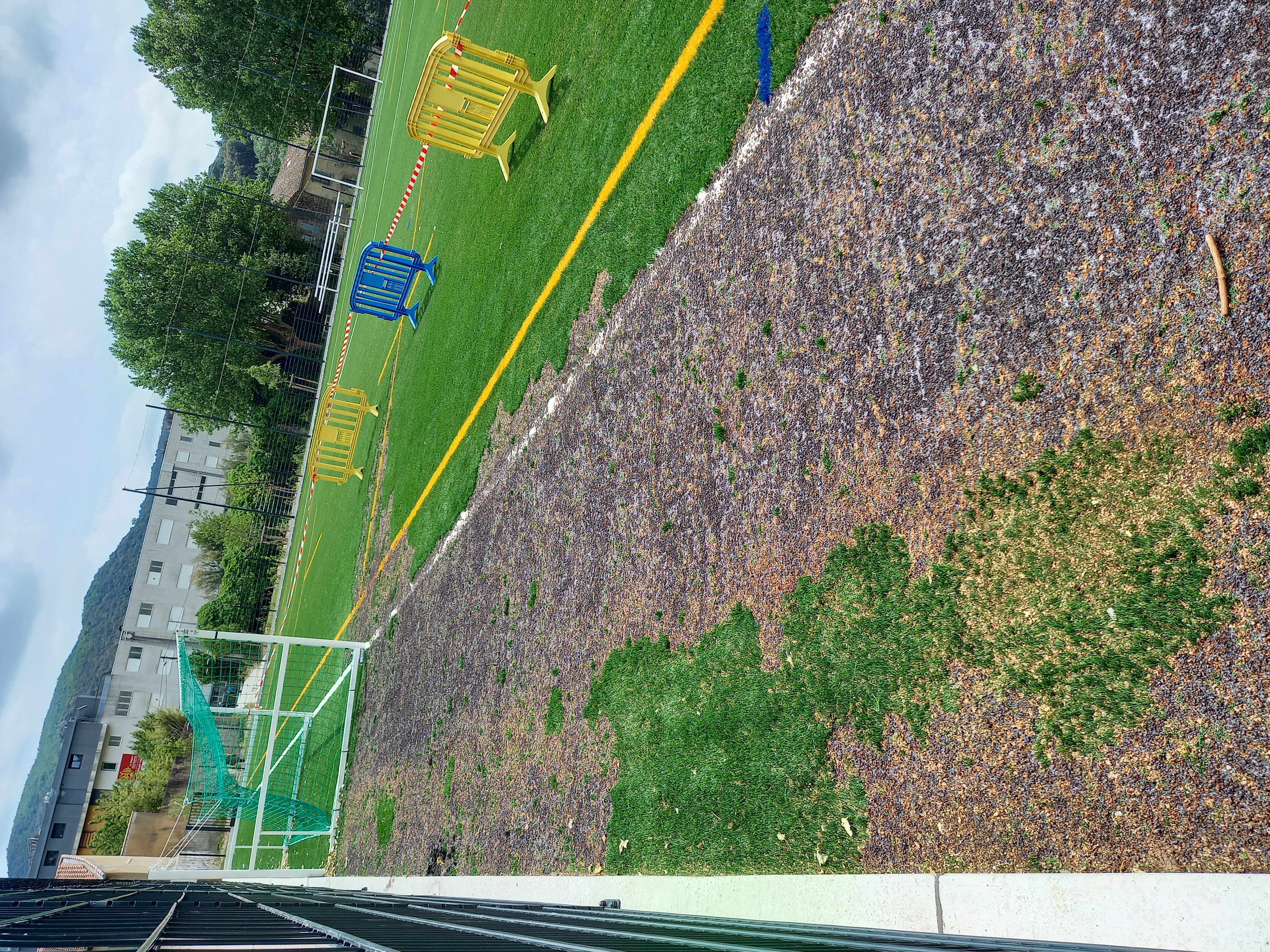 LA PELOUSE DU STADE SYNTHETIQUE DE LODEVE BRULEE 