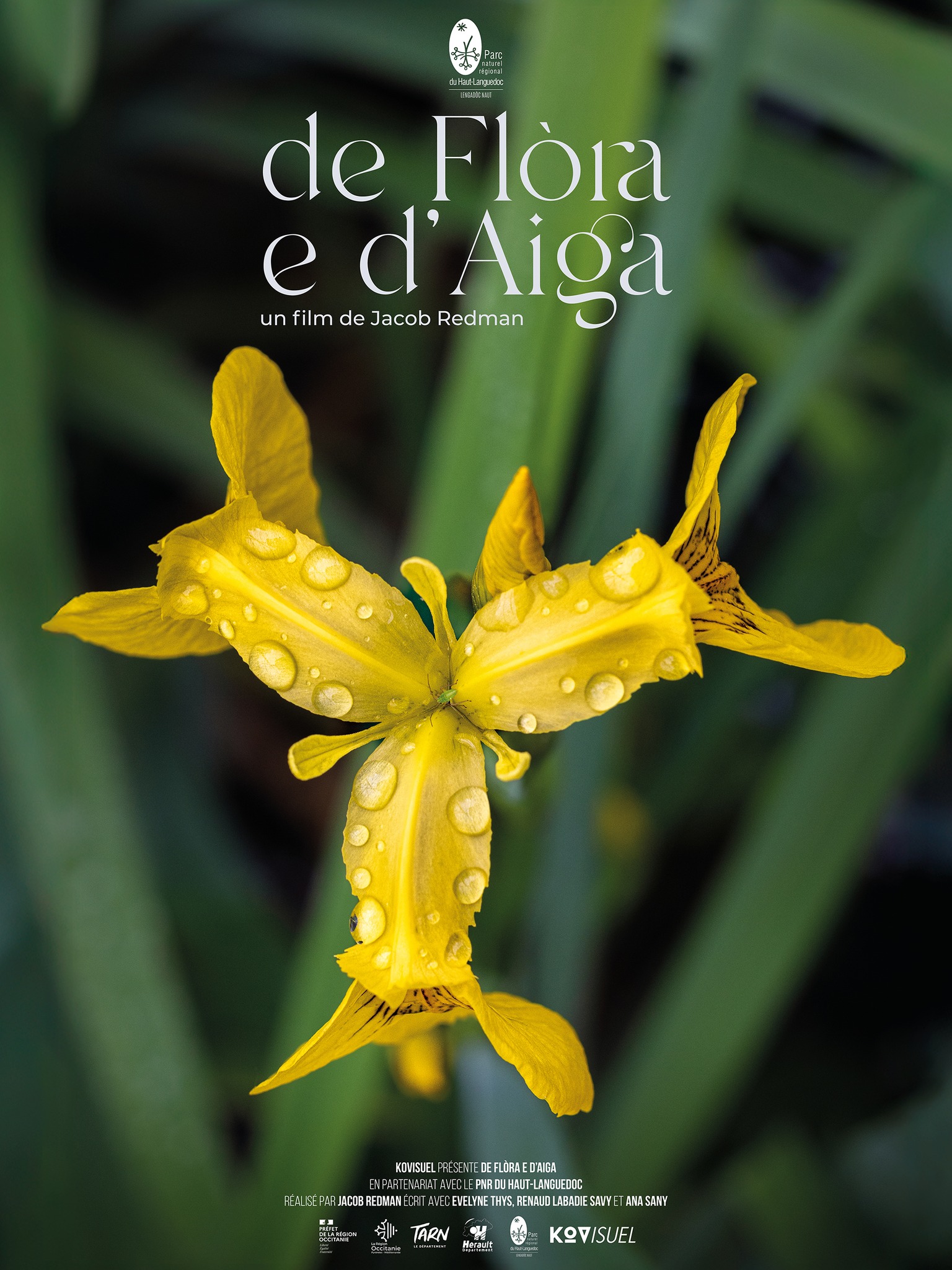 DE FLORA E D'AIGA  A ST GERVAIS SUR MARE