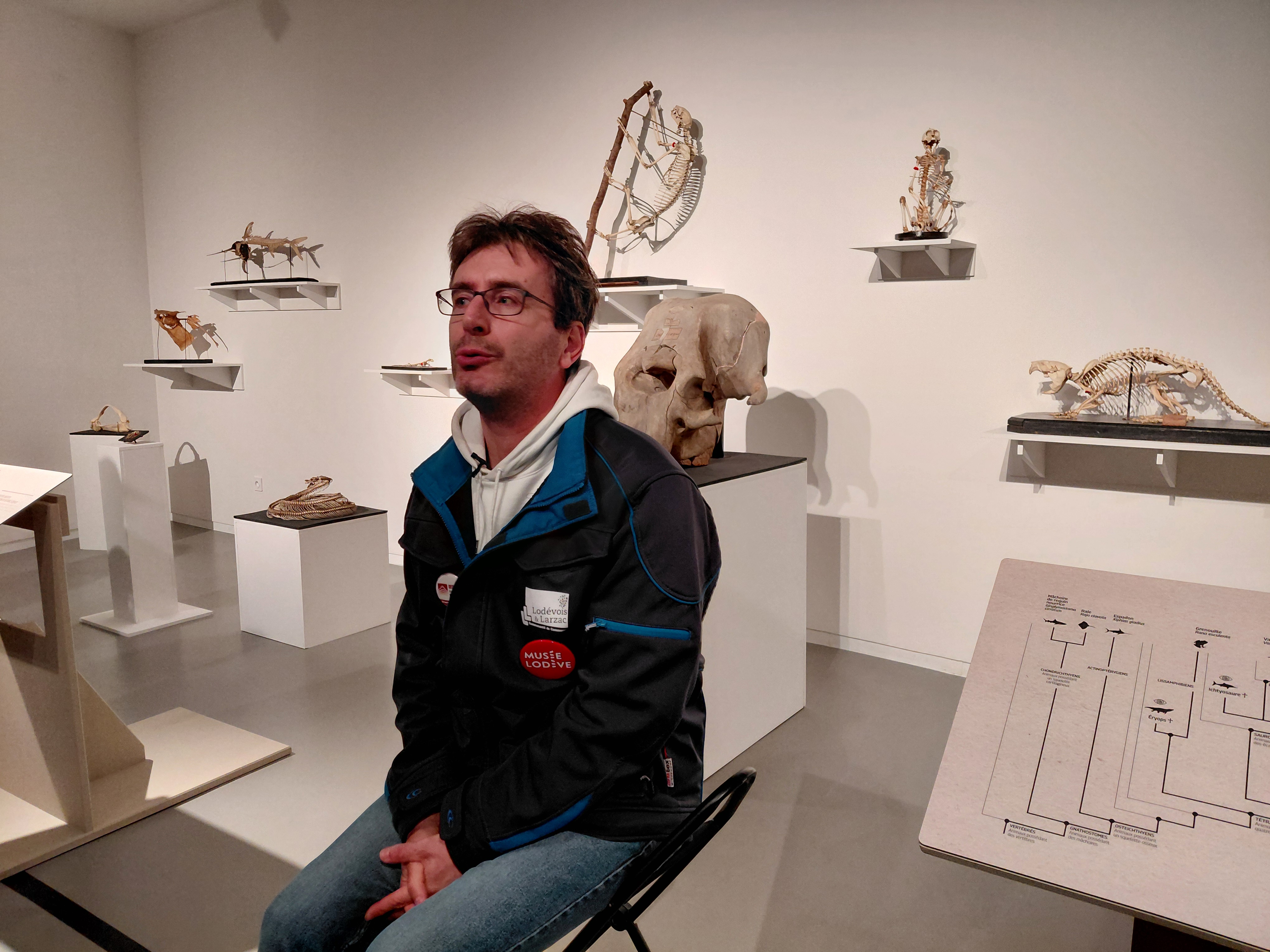 UN CROCODILE MARIN UNIQUE AU MUSEE DE LODEVE