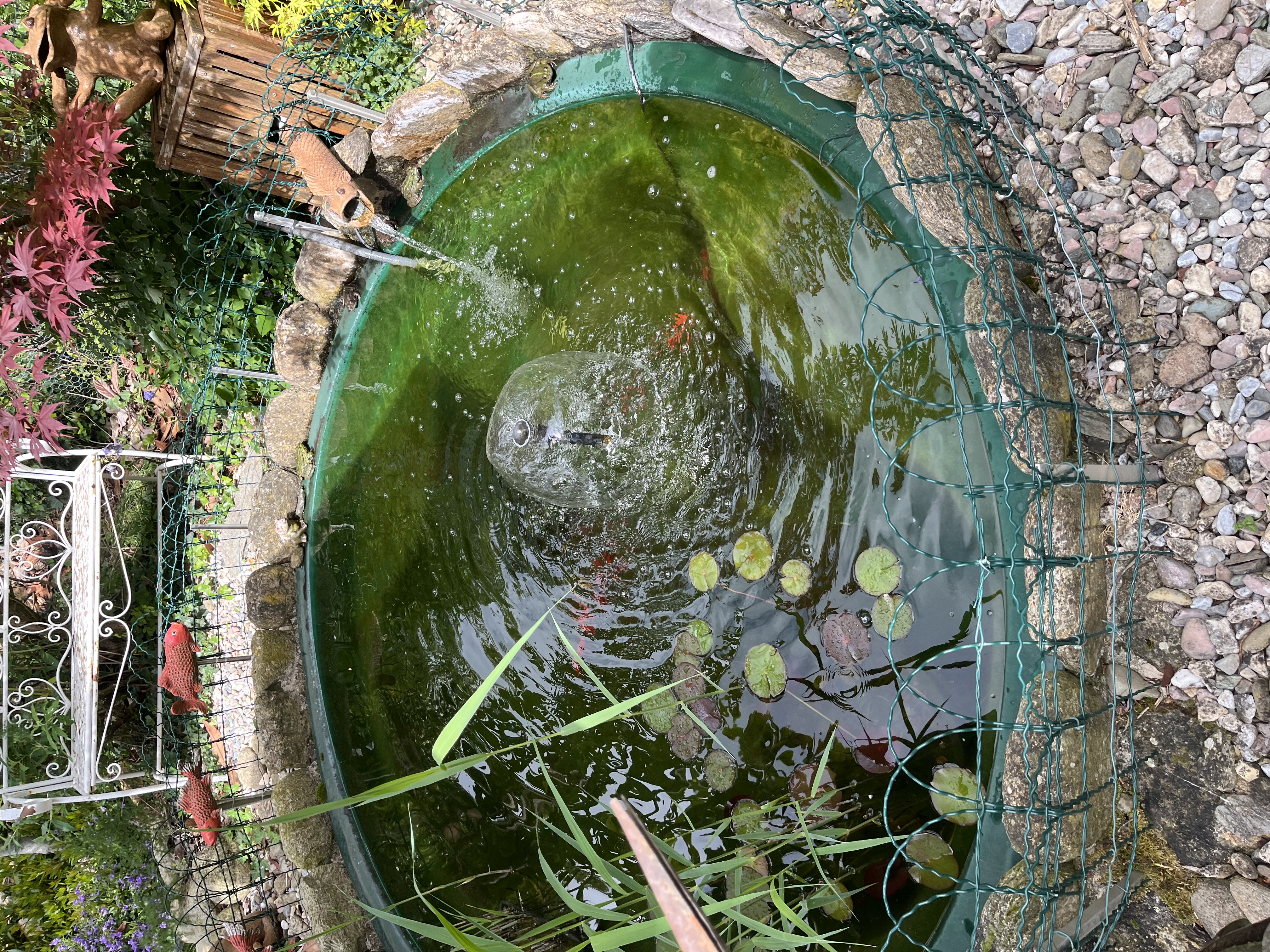 Jardin de Cathy mare 1