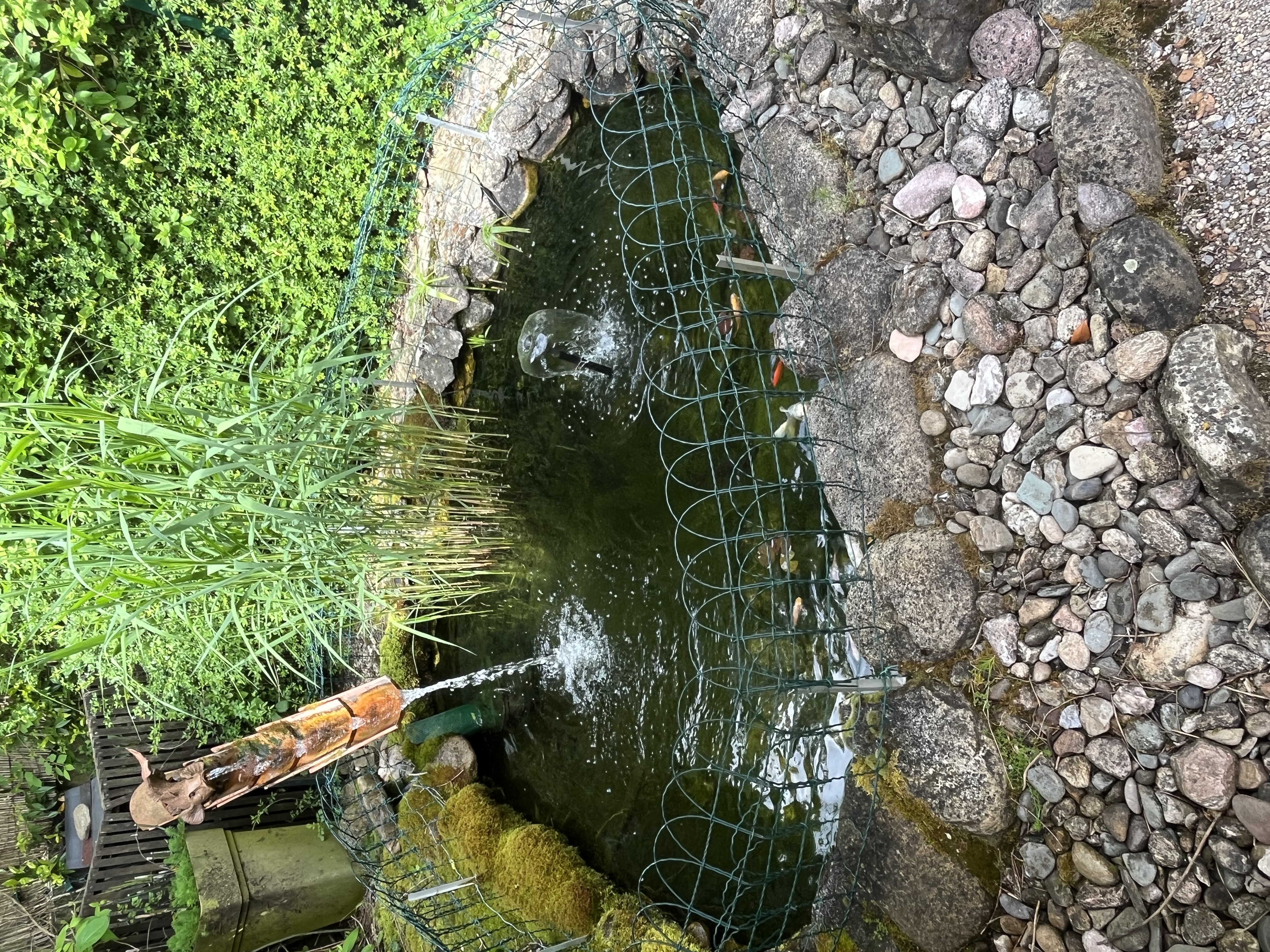 Jardin de Cathy mare 2